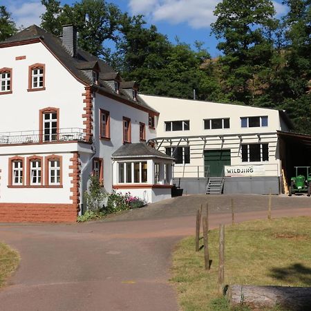 Gaestehaus Herrenmuehle Freudenburg  Экстерьер фото