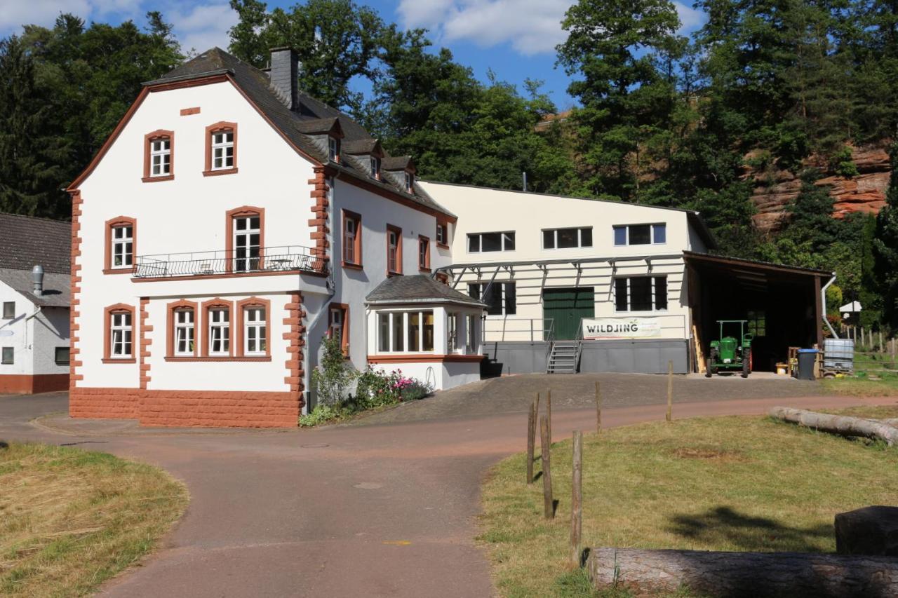 Gaestehaus Herrenmuehle Freudenburg  Экстерьер фото